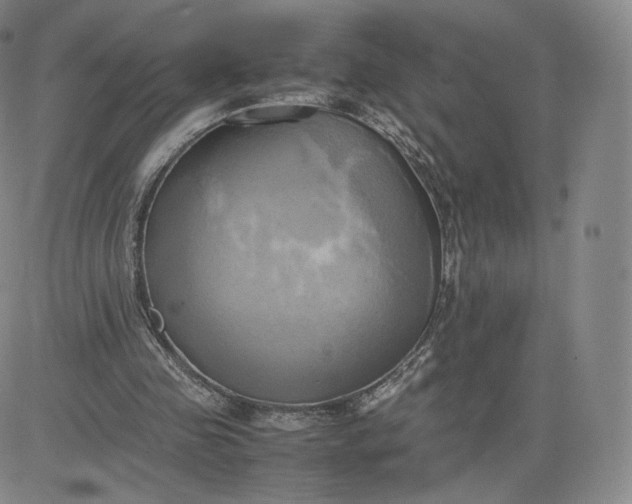 X0000083560341200702231609