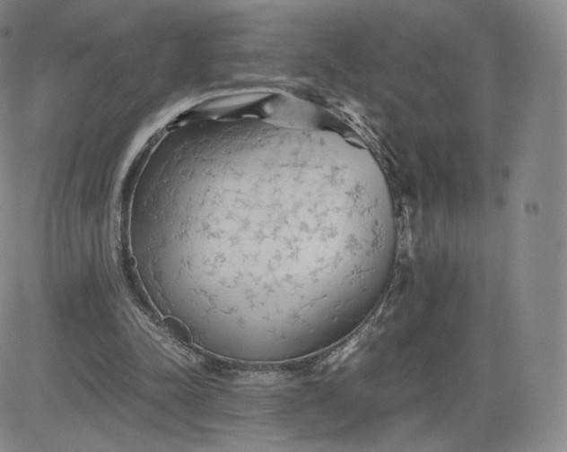 X0000083560342200702231609