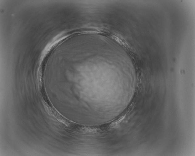 X0000083560343200702231609