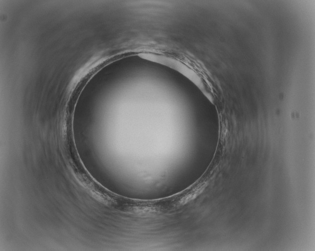 X0000083560344200702231609