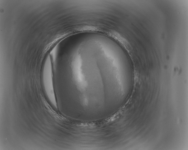 X0000083560345200702231609