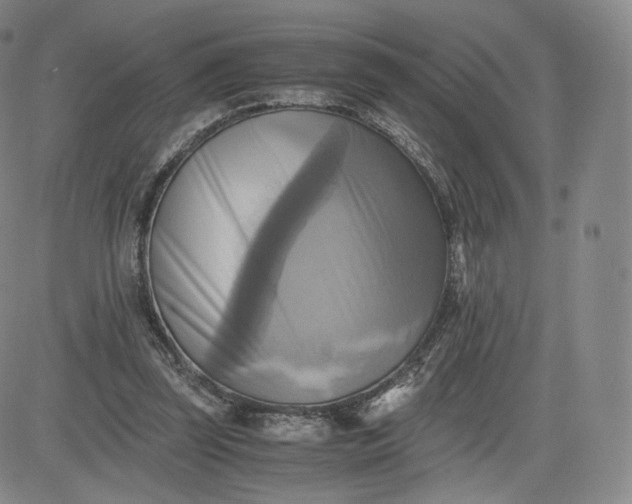 X0000083560347200702231609