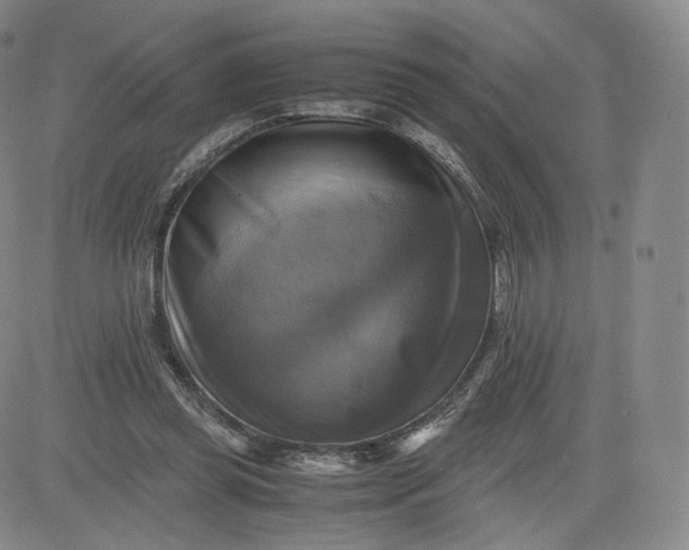 X0000083560349200702231609