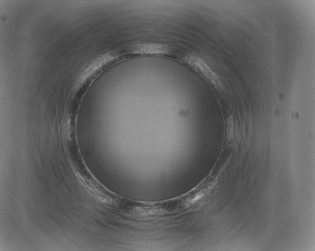 X0000083560351200702231609