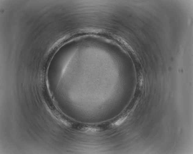 X0000083560352200702231609