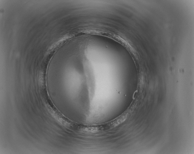 X0000083560353200702231609