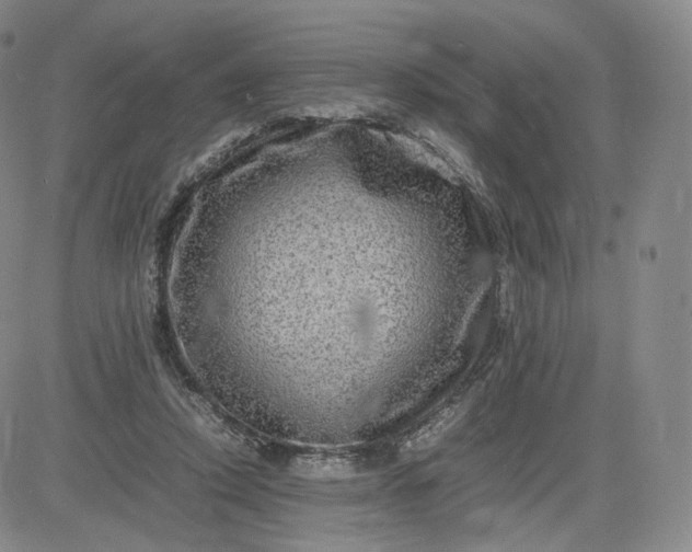 X0000083560354200702231609