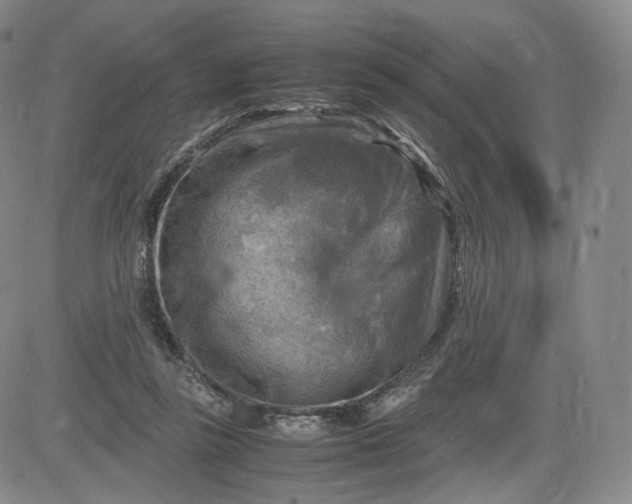 X0000083560355200702231610