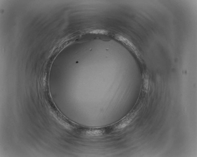 X0000083560357200702231610