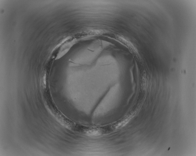 X0000083560358200702231610