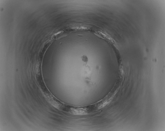 X0000083560359200702231610