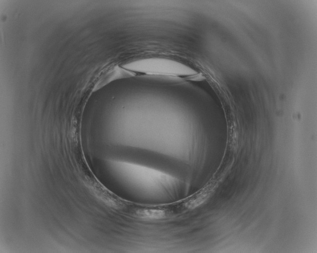 X0000083560361200702231610