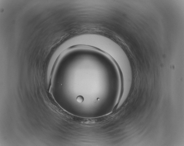 X0000083560362200702231610