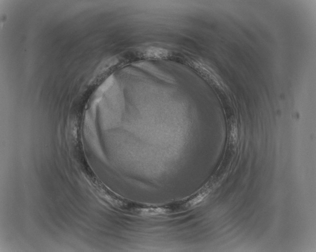 X0000083560363200702231610