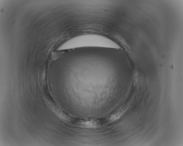 X0000083560365200702231610