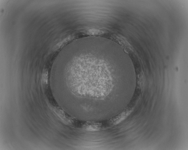 X0000083560368200702231610