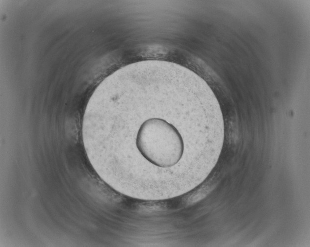 X0000083560370200702231610