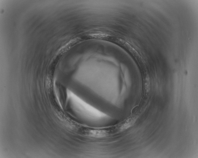 X0000083560371200702231610