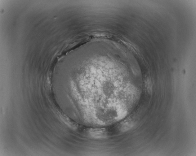 X0000083560373200702231610