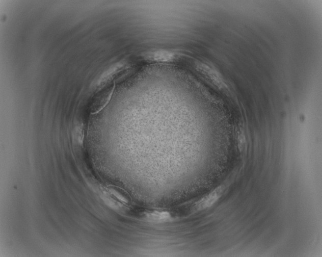 X0000083560374200702231610