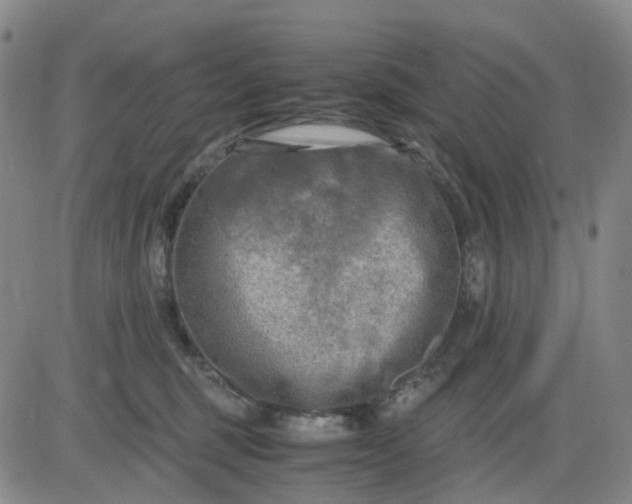 X0000083560375200702231610