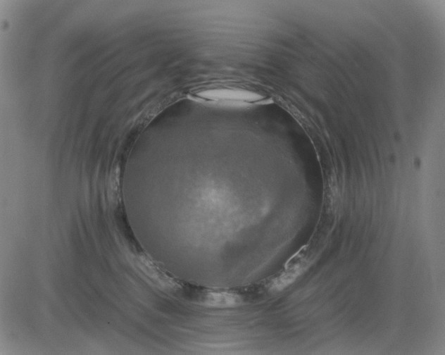 X0000083560376200702231610