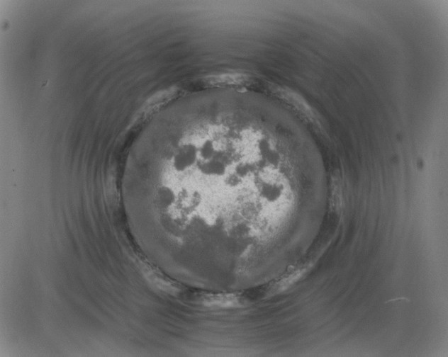 X0000083560377200702231610