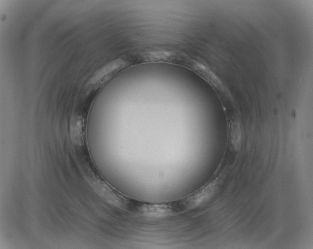 X0000083560378200702231610