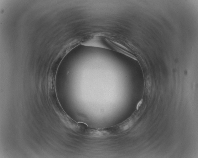 X0000083560379200702231610