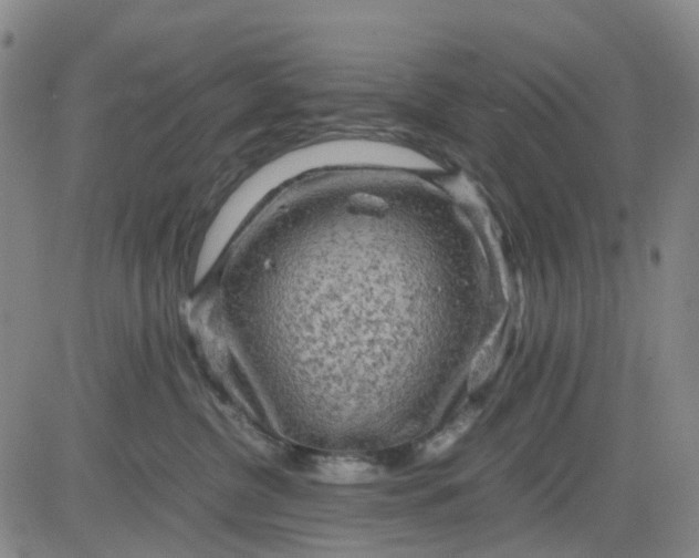 X0000083560380200702231610