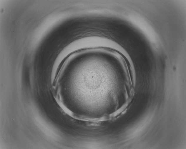 X0000083560382200702231610