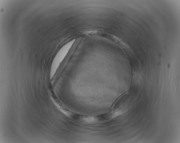 X0000083560383200702231610