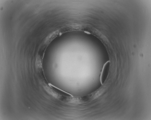 X0000083560384200702231610