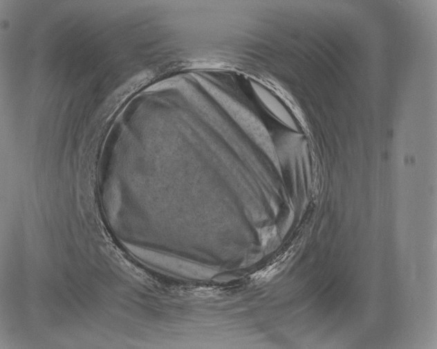 X0000083560385200702231609