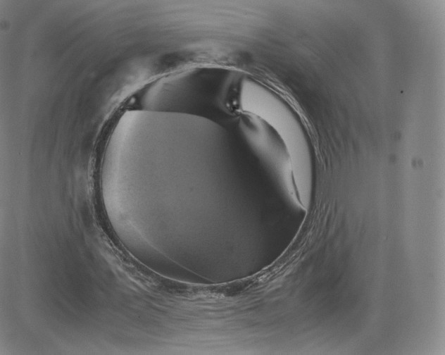 X0000083560387200702231609