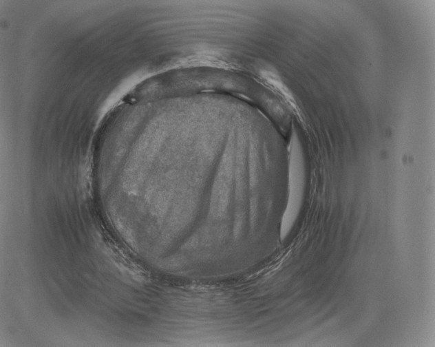 X0000083560388200702231609