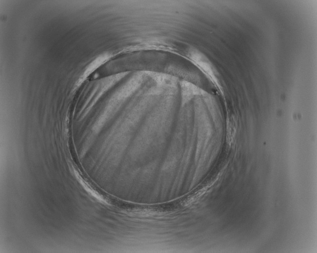 X0000083560389200702231609