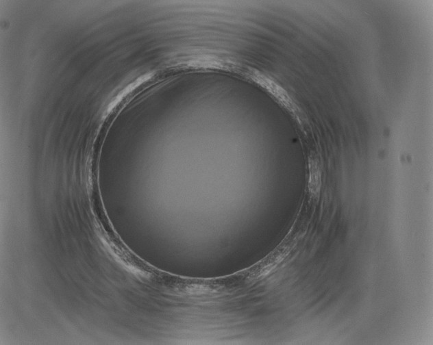 X0000083560390200702231609