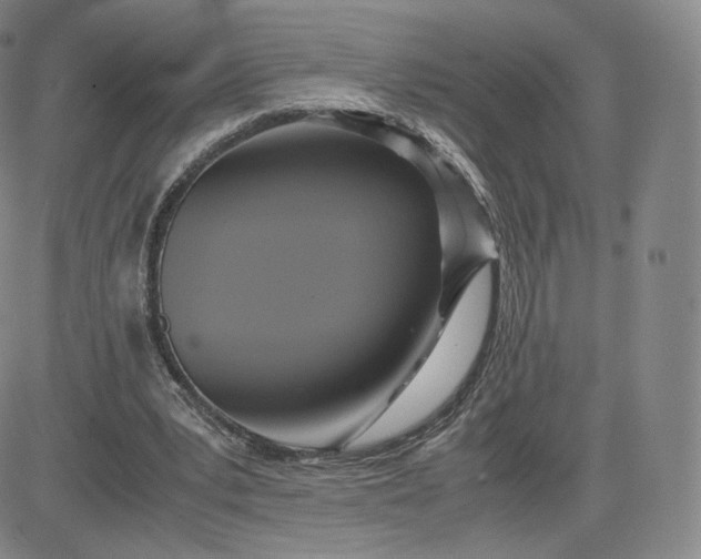 X0000083560391200702231609