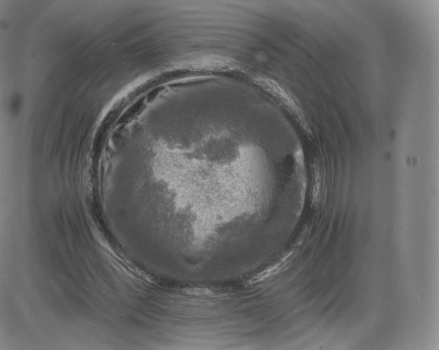 X0000083560392200702231609