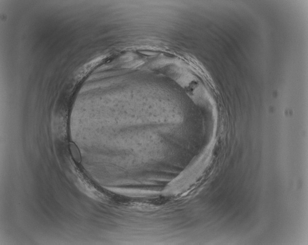 X0000083560393200702231609