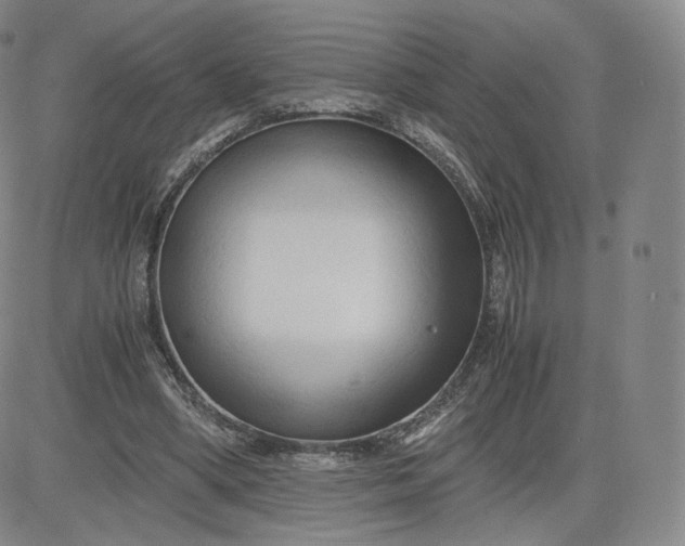 X0000083560394200702231609