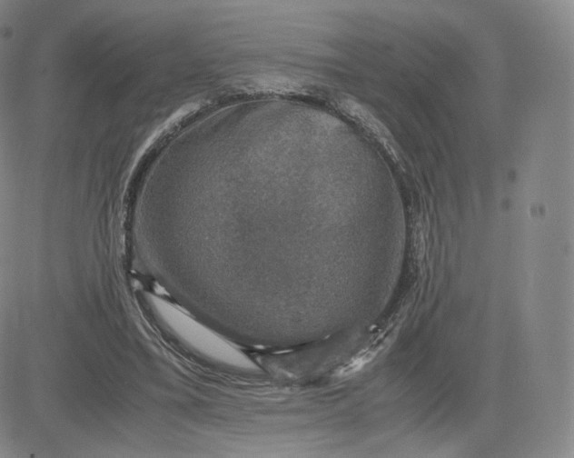 X0000083560395200702231609