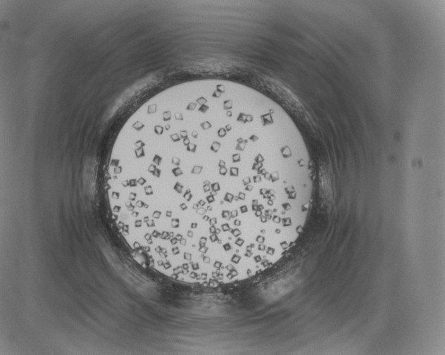 X0000083560396200702231609