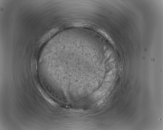 X0000083560397200702231609