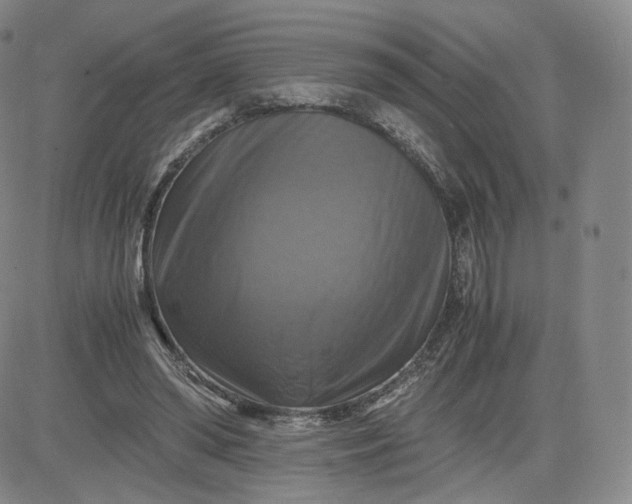 X0000083560398200702231609