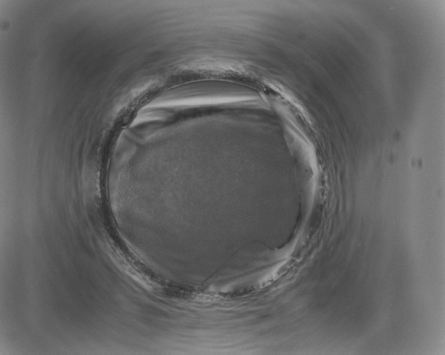 X0000083560399200702231609