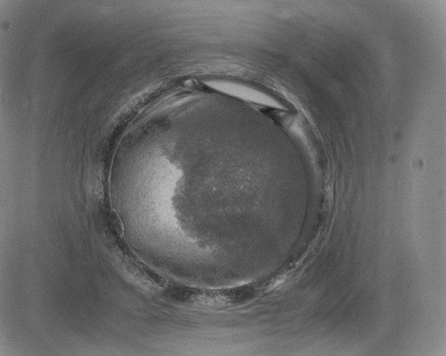 X0000083560403200702231609