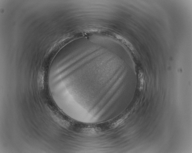 X0000083560404200702231609