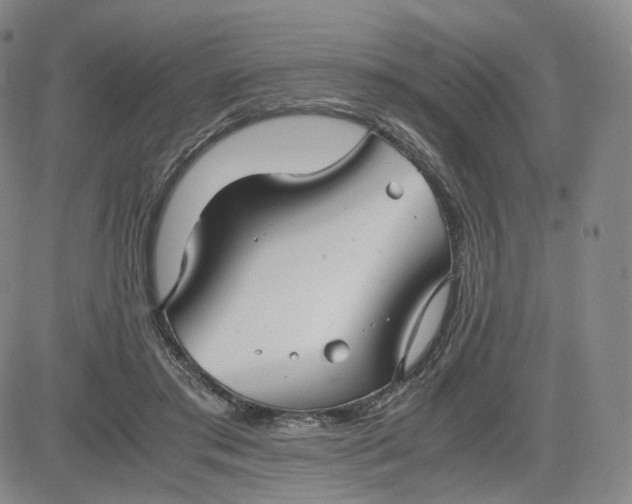 X0000083560405200702231609